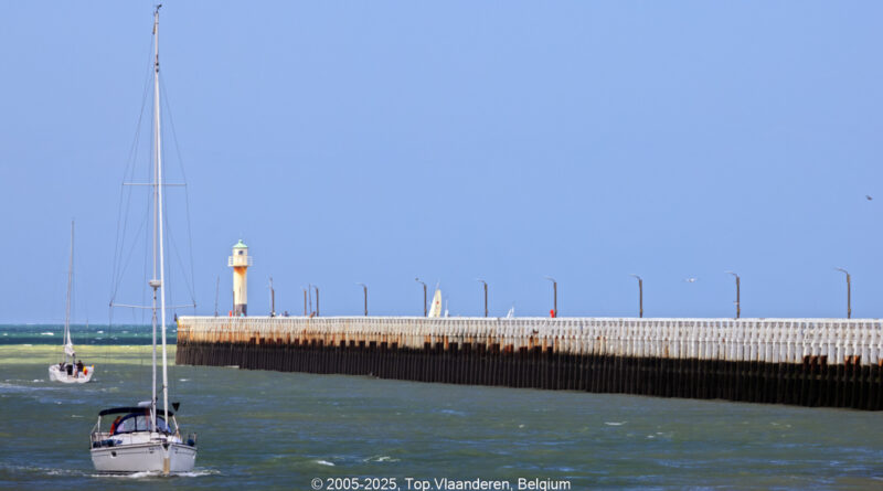 GPS:  Altitude:  -  -  -   -  -   -  -