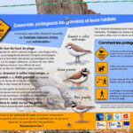 GPS:  Altitude:  -  -  -   -  -   -  -