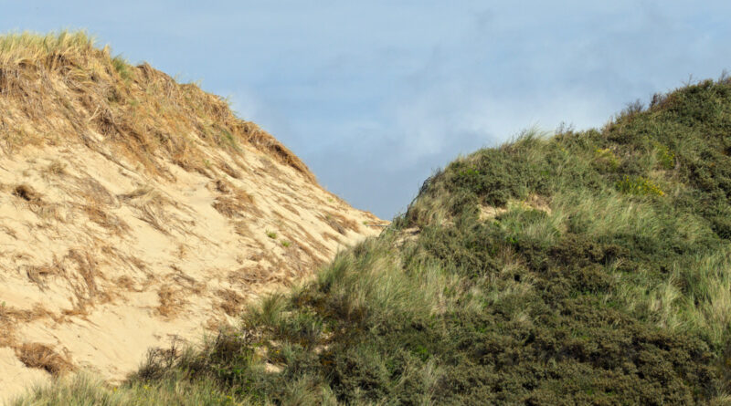 GPS:  Altitude:  -  -  -   -  -   -  -
