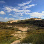 GPS:  Altitude:  -  -  -   -  -   -  -