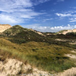 GPS:  Altitude:  -  -  -   -  -   -  -