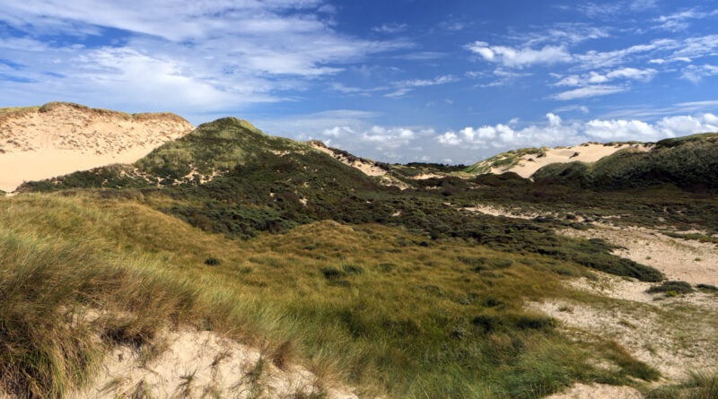 GPS:  Altitude:  -  -  -   -  -   -  -