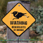 GPS:  Altitude:  -  -  -   -  -   -  -