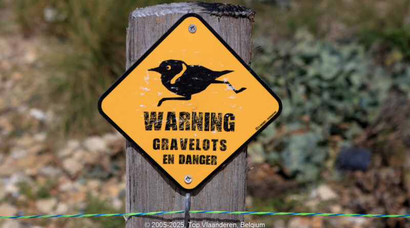 GPS:  Altitude:  -  -  -   -  -   -  -