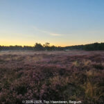 GPS: 51°14'55.6692" N 5°20'43.3428" E Altitude:  -  -  -   -  -   -  -