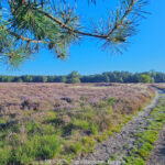 GPS: 51°14'58.1928" N 5°20'49.6824" E Altitude:  -  -  -   -  -   -  -