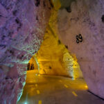 GPS: 49°14'20.6088" N 4°2'45.2148" E Altitude: 142,0 m -  -  -   -  -   -  -