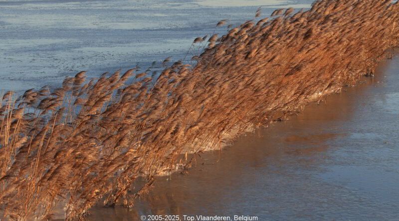 GPS: 50°57'2.8728" N 2°47'53.5128" E Altitude: 50,1 m -  -  -   -  -   -  -