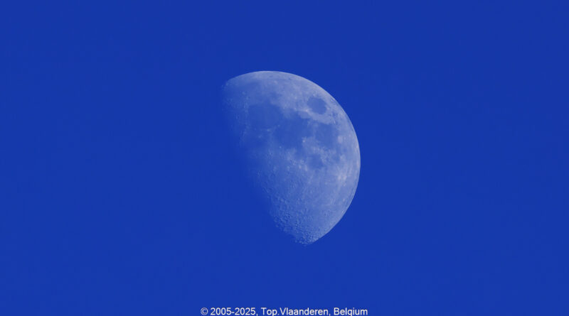 GPS: 50°52'13.7712" N 1°42'15.0588" E Altitude: 207,0 m -  -  -   -  -   -  -