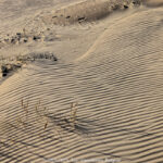 GPS: 51°5'17.3832" N 2°34'1.5852" E Altitude: 47,4 m -  -  -   -  -   -  -