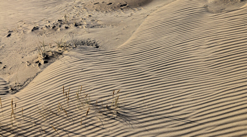 GPS: 51°5'17.3832" N 2°34'1.5852" E Altitude: 47,4 m -  -  -   -  -   -  -