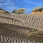 GPS: 51°5'17.34" N 2°34'1.4952" E Altitude: 47,4 m -  -  -   -  -   -  -
