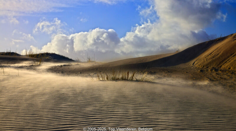 GPS: 51°5'17.2752" N 2°34'1.4052" E Altitude: 46,4 m -  -  -   -  -   -  -