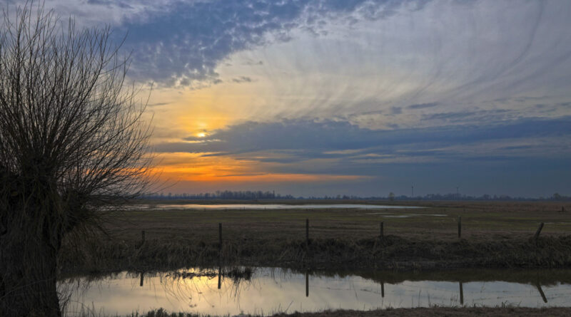 GPS: 50°59'59.82" N 2°50'50.514" E Altitude: 48,4 m -  -  -   -  -   -  -