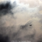 GPS: 50°28'43.2372" N 5°46'48.9072" E Altitude: 424,3 m -  -  -   -  -   -  -