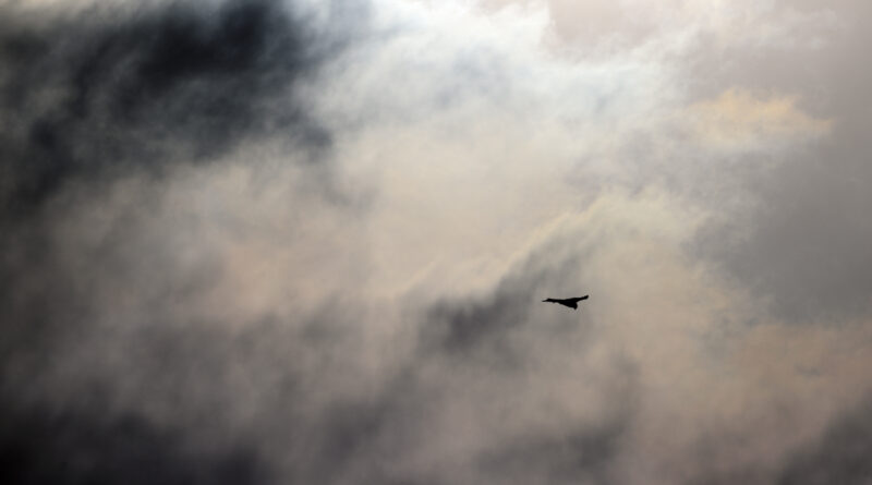 GPS: 50°28'43.2372" N 5°46'48.9072" E Altitude: 424,3 m -  -  -   -  -   -  -