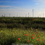 GPS: 50°12'50.6628" N 3°20'24.1728" E Altitude: 101,8 m -  -  -   -  -   -  -