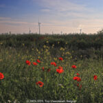 GPS: 50°12'50.688" N 3°20'24.198" E Altitude: 102,1 m -  -  -   -  -   -  -