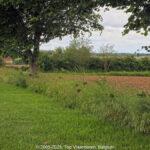 GPS: 50°45'41.994" N 2°53'56.274" E Altitude: 98,9 m -  -  -   -  -   -  -