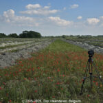 GPS: 51°0'51.3828" N 2°13'14.6172" E Altitude: 46,0 m -  -  -   -  -   -  -
