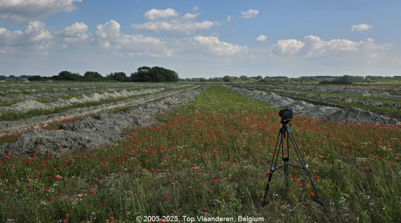 GPS: 51°0'51.3828" N 2°13'14.6172" E Altitude: 46,0 m -  -  -   -  -   -  -