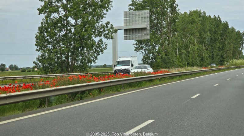 GPS: 50°57'39.7512" N 2°24'12.7188" E Altitude: 44,0 m -  -  -   -  -   -  -