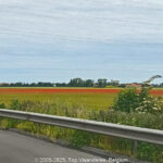 GPS: 50°58'51.5964" N 2°22'56.316" E Altitude: 52,0 m -  -  -   -  -   -  -