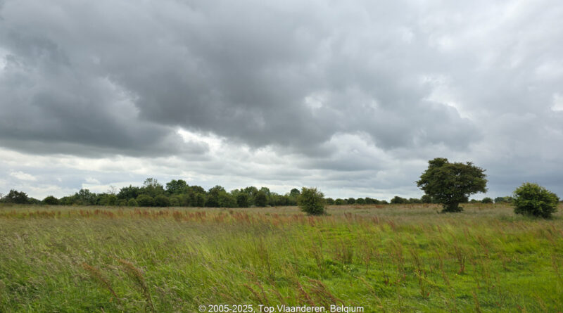 GPS: 50°11'17.9628" N 1°36'59.5116" E Altitude: 89,0 m -  -  -   -  -   -  -