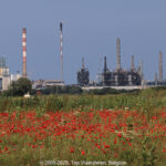 GPS: 51°0'35.0748" N 2°13'2.4672" E Altitude: 41,3 m -  -  -   -  -   -  -
