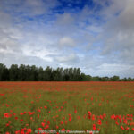 GPS: 50°58'54.66" N 1°59'5.3448" E Altitude: 50,6 m -  -  -   -  -   -  -