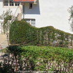 GPS: 51°5'56.85" N 2°35'14.9352" E Altitude: 52,0 m -  -  -   -  -   -  -