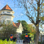 GPS: 51°5'56.9364" N 2°35'16.2816" E Altitude: 27,0 m -  -  -   -  -   -  -