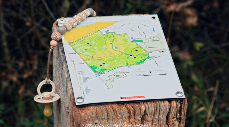 GPS:  Altitude:  -  -  -   -  -   -  -
