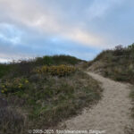 GPS: 51°7'28.9416" N 2°39'28.3068" E Altitude: 49,0 m -  -  -   -  -   -  -