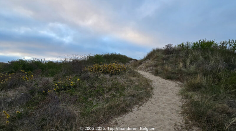 GPS: 51°7'28.9416" N 2°39'28.3068" E Altitude: 49,0 m -  -  -   -  -   -  -