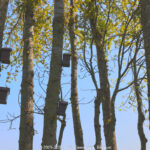 GPS: 51°3'1.1412" N 2°36'41.6988" E Altitude: 45,2 m -  -  -   -  -   -  -