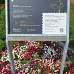 GPS: 51°3'52.3188" N 2°36'15.8868" E Altitude: 42,0 m -  -  -   -  -   -  -