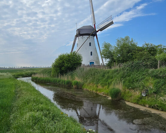 GPS: 51°2'58.9092" N 2°36'41.3424" E Altitude: 37,0 m -  -  -   -  -   -  -