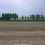 GPS: 51°2'49.4772" N 2°36'56.4948" E Altitude: 21,8 m -  -  -   -  -   -  -