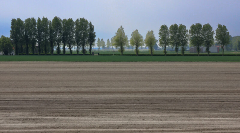 GPS: 51°2'49.4772" N 2°36'56.4948" E Altitude: 21,8 m -  -  -   -  -   -  -