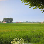 GPS: 51°2'51.756" N 2°37'21.2088" E Altitude: 43,9 m -  -  -   -  -   -  -