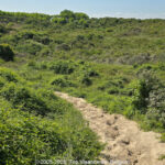 GPS: 51°7'34.9536" N 2°39'17.9676" E Altitude: 58,0 m -  -  -   -  -   -  -