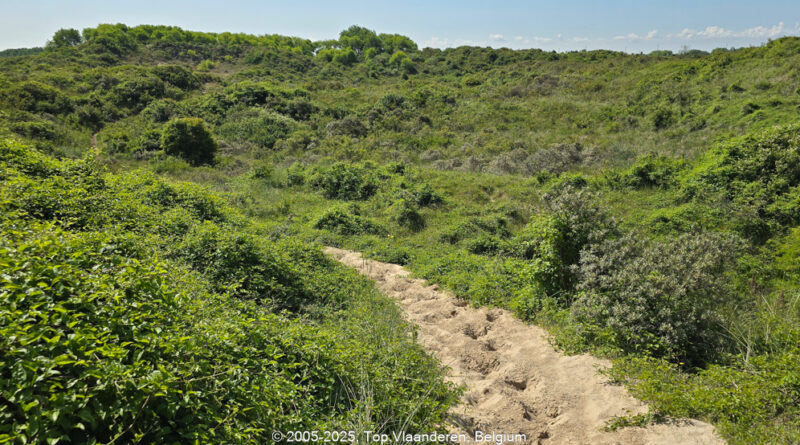 GPS: 51°7'34.9536" N 2°39'17.9676" E Altitude: 58,0 m -  -  -   -  -   -  -