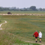 GPS: 50°11'27.3192" N 1°36'40.8168" E Altitude: 51,2 m -  -  -   -  -   -  -