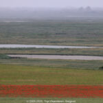 GPS: 50°11'11.112" N 1°36'37.152" E Altitude: 69,3 m -  -  -   -  -   -  -