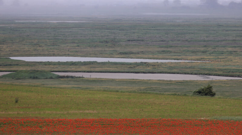 GPS: 50°11'11.112" N 1°36'37.152" E Altitude: 69,3 m -  -  -   -  -   -  -