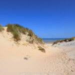 GPS: 51°7'42.4452" N 2°39'13.2912" E Altitude: 55,0 m -  -  -   -  -   -  -