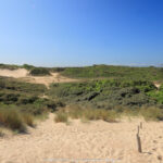 GPS: 51°7'41.5092" N 2°39'14.9328" E Altitude: 55,4 m -  -  -   -  -   -  -