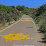 GPS: 51°7'21.378" N 2°38'46.9068" E Altitude: 53,3 m -  -  -   -  -   -  -