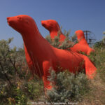 GPS: 51°7'24.4488" N 2°38'53.5092" E Altitude: 58,8 m -  -  -   -  -   -  -